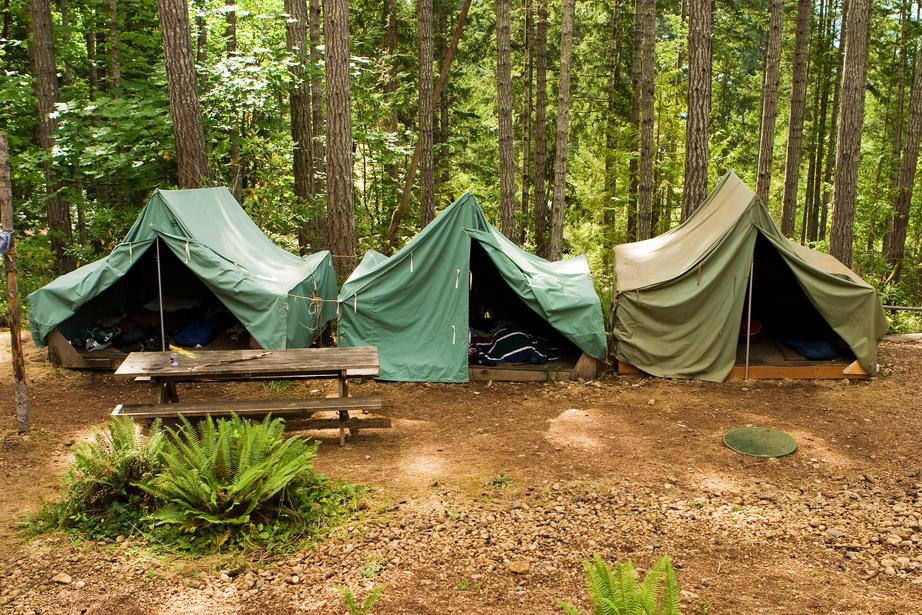 Woodland Camping Area with Green Tents